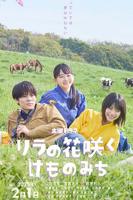 丁香花在线影院电视剧免费观看韩剧